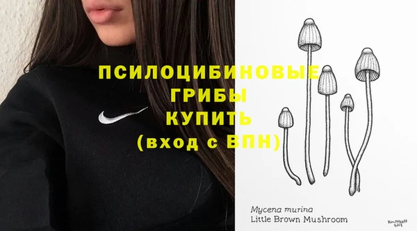 прущая мука Краснослободск