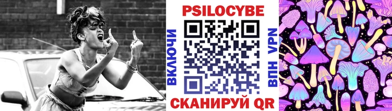 Купить где  Закаменск  Псилоцибиновые грибы Psilocybine cubensis 